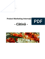 Proiect Marketing International-Catina Final.