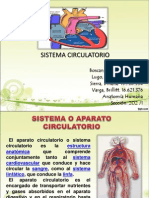 Sistema Circulatorio Exposicion