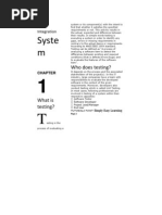 Syste M: Who Does Testing?