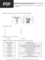 CN 9º Sistema Reprodutor