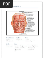 Músculos da Face