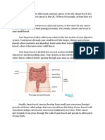 Bowel Cancer2