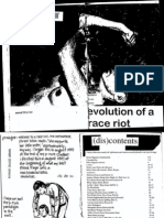 Evolution of A Race Riot