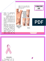 Triptico Cancer de Mama