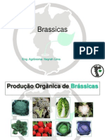 Brassicas