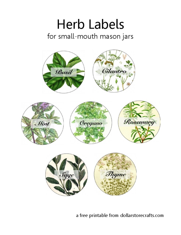 herb labels pdf