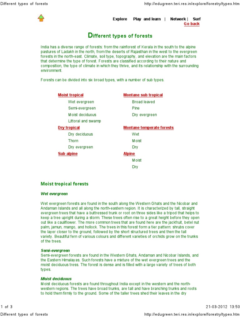 Major Forest Types in India | PDF | Trees | Forests