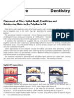 Fiber Splint1 (C)