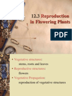 Reproduction in Flowering Plants