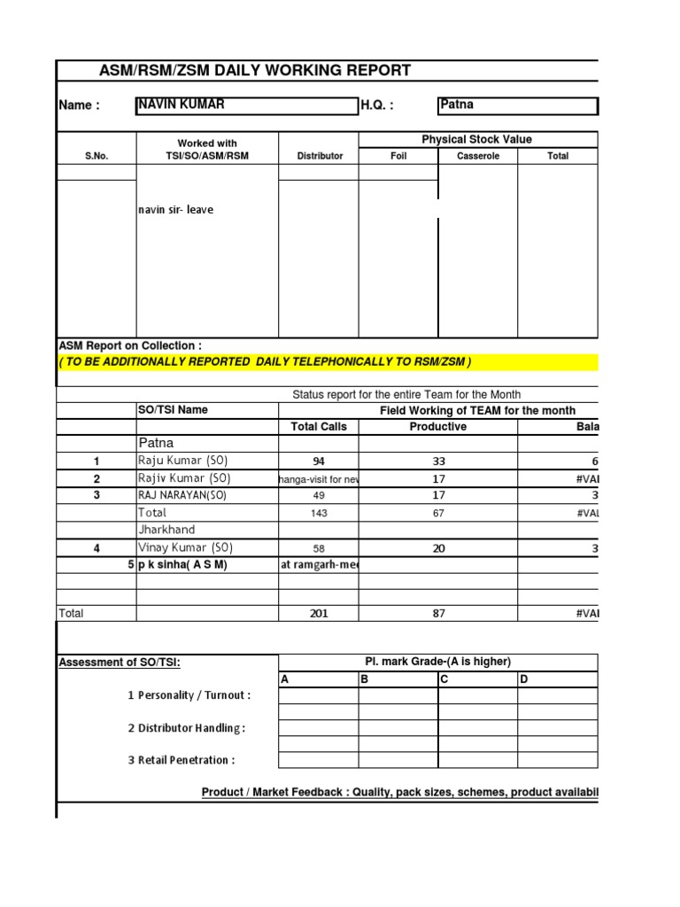 Asm/Rsm/Zsm Daily Working Report: Navin Sir-Leave | PDF