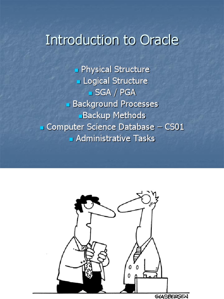 2.oracle Architecture | PDF | Databases | Database Schema