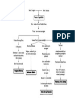 Pathway Ventrikel Septal Defek