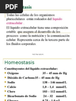 Homeostasis 03