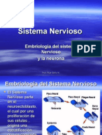 Sistema Nervioso Embriologia y Neurona 17
