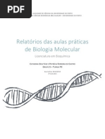 Relatórios de Biologia Molecular G5 T3