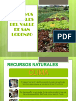 Cultivos Frutales Del Valle de San Lorenzo (2)