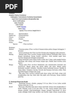 Download Pinus by Mizar Muarifah SN148377481 doc pdf