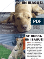 Se Busca Mateo