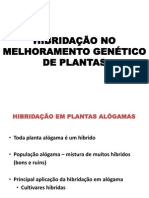 Hibridacao No Melhoramento Genetico Vegetal - Alogamas