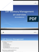 SAP Memory Management