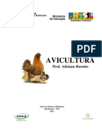 Guia completo sobre avicultura