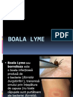 Boala Lyme