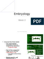 Renal Pathology-Week 2