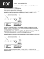 Exercicios 3ano Sistema Endocrino (1)