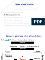 Pancreas Endocrino