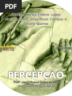 Percepção