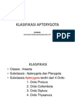 Ch.7 Klasifikasi Apterygota PDF