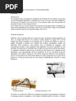 Sobre Armas de Avancarga y Sus Municiones