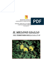 Melone Giallo