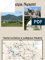 Cetatea Neamtului