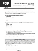 BG11_Teste_rochas_magmáticas_metamórficas_2012