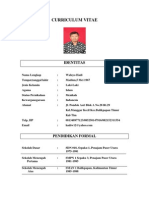 Curriculum Vitae (1)