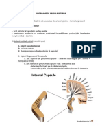 Sdr. de Capsula Interna