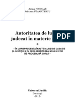 Autoritatea de Lucru Judecat in Materie Civila