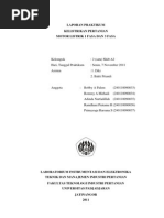 Download LAPORAN PRAKTIKUM  KELISTRIKAN PERTANIAN MOTOR LISTRIK 1 FASA DAN 3 FASA by Ramdhani Pratama Hakim SN148511343 doc pdf