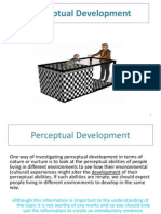 Perceptual Development (Cross Cultural Studies)