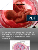 Circulacion Neonatal y Fetal