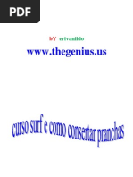 O Consertar Pranchas de Surf PDF