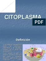 Cito Plasma 1