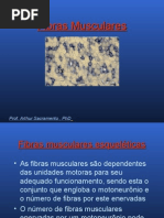 Tipos de fibras musculares esqueléticas