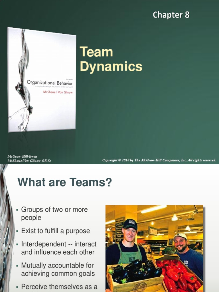 Organizational Behavior Chapter 8 | PDF