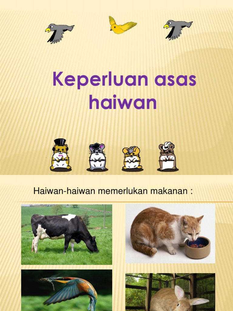 Ppt Keperluan Asas Haiwan