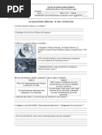 Avaliação 8 ano - Evolução