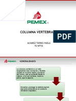 Anatomia Columna