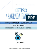 Programacion Corte de Cabello-2013