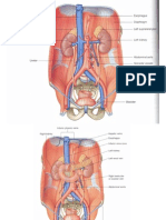 Urinary.ppt